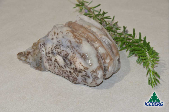 SEPPIE NERE CHOCO 3P C/BORDO P.V.  1X12KG  CG