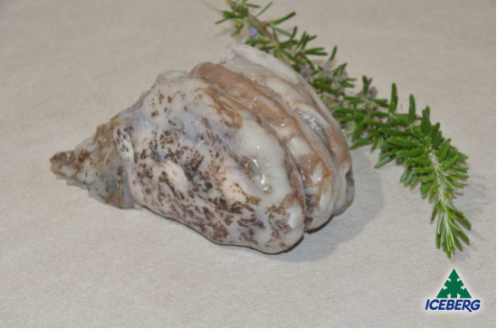 SEPPIE NERE CHOCO 3P C/BORDO P.V.  1X12KG  CG