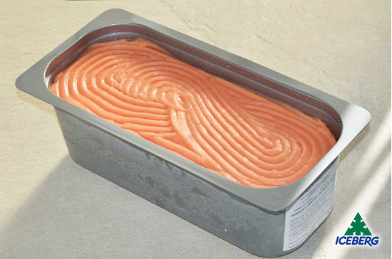 SORBETTO ALL'ARANCIA E CAMPARI G.M.1X1PZ   CG