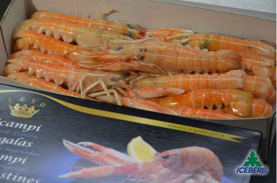 SCAMPI DANIMARCA LAESO 21/30 2X800GR+CG