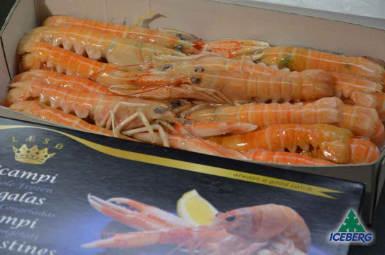 SCAMPI DANIMARCA LAESO 21/30 2X800GR+CG