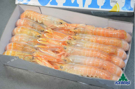 SCAMPI DANIMARCA LAESO 17/20 2X800GR+CG