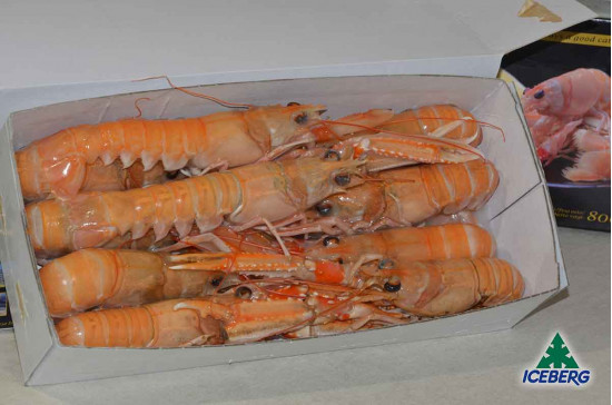 SCAMPI DANIMARCA LAESO 8/12 6X800GR CG
