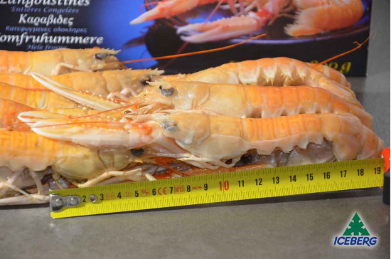 SCAMPI DANIMARCA LAESO 17/20 6X800GR CG