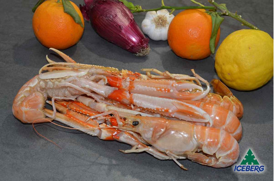 SCAMPI DANIMARCA LAESO 2/4 2X800GR+CG