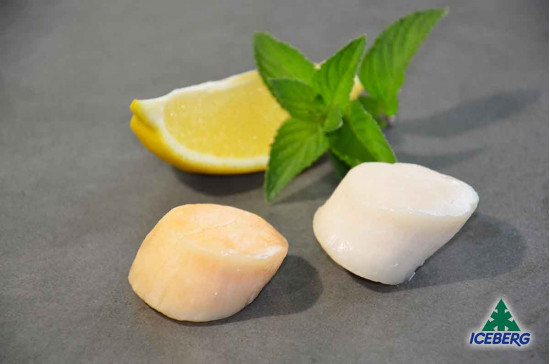 CAPPESANTE OCEANICHE S/G 10/20LB 2X1KG +SG