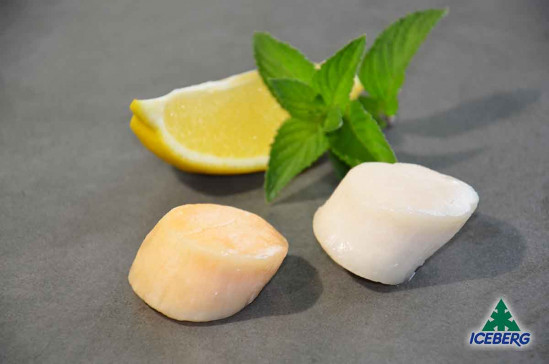 CAPPESANTE OCEANICHE S/G 10/20LB 2X1KG +SG