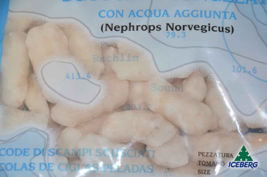 SCAMPI SGUSC. REGNO UNITO 40/60 2X700GR+CG