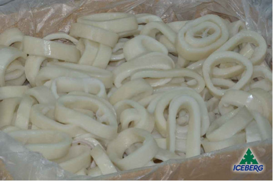 ANELLI TOTANO ATLANTICO B.I.  P.P. 2X2,5KG CG