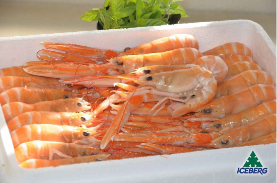 SCAMPI SCOZIA LAESO P.P. 11/15 4X1,35KGCG