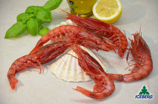 GAMBERI ROSSI SICILIA II PREMIUM 2X1KG +CG