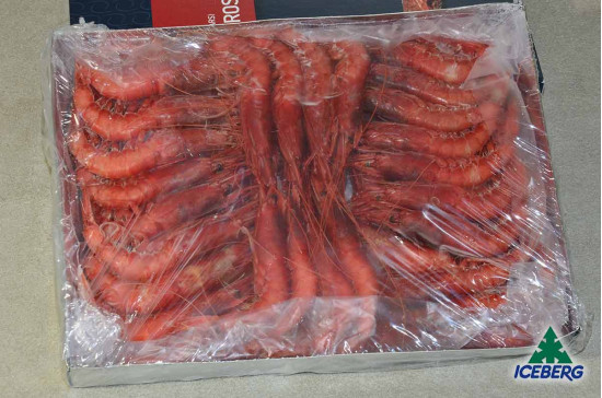 GAMBERI ROSSI SICILIA III PREMIUM 12X1KG CG
