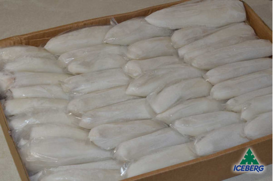 CALAMARO MAROCCO 2P PULITO IWP 1X6KG CG