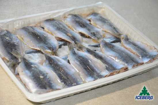 FILETTO SARDINA BUTT.INTERFOGLIATI 3X1KG CG