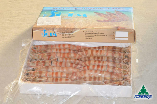 MAZZANCOLLE TUNISIA AA (16/20) 10X800GRCG