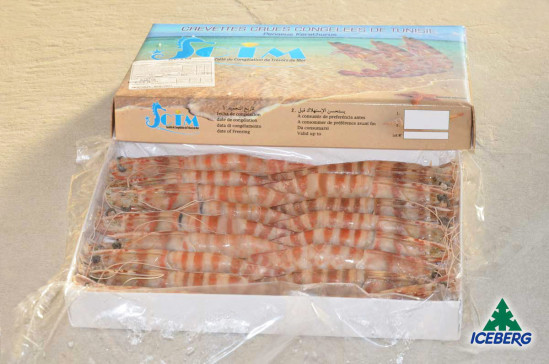 MAZZANCOLLE TUNISIA AA (16/20) 10X800GRCG