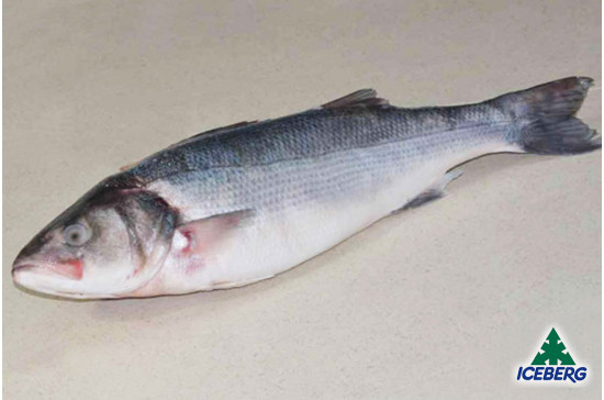 BRANZINO INTERO 2000/3000 1X2PZ CG