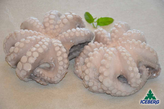 POLPO MAROCCO T5 1,2/1,5KG 1X11,5KGCG