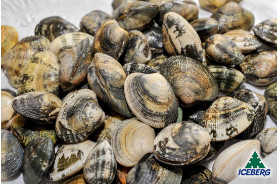 VONGOLE VERACI C/G NAZIONALI 5X1KG CG