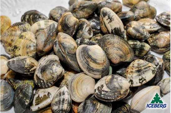 VONGOLE VERACI C/G NAZIONALI 5X1KG CG