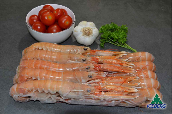 SCAMPI DANIMARCA LAESO 13/16 6X800GR CG
