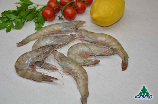 MAZZANCOLLE TROP. EC. P.P. 40/50 2X2KG +CG