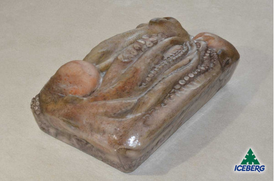 POLPO T5 1,2/1,5KG P.V. 2X4KG CG