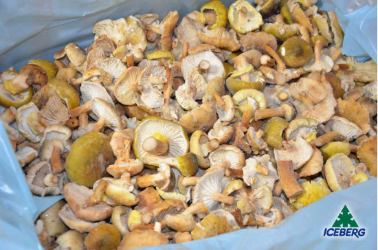 FUNGHI CHIODINI B. SCOTTATI 1X3KG SG