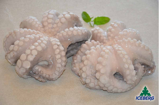 POLPO MAROCCO T5 1,2/1,5KG 1X11,5KGCG
