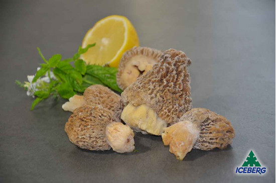 MORCHELLA CONICA A. FOOD 3X1KG CG