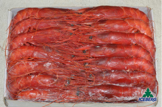GAMBERI ROSSI ATLAN.28/32(CARAB) PV 2X1KG +CG