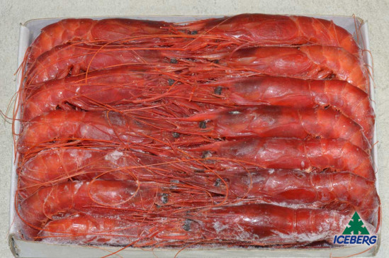 GAMBERI ROSSI ATLAN.28/32(CARAB) PV 2X1KG +CG