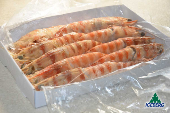 MAZZANCOLLE TUNISIA 000 (U/10)     10X800GRCG