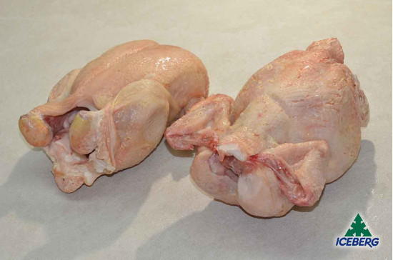 POLLO BUSTO 1300 GR M. 1X9PZ CG
