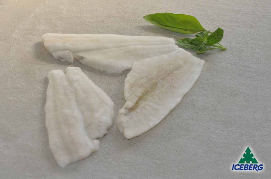 FILETTO PLATESSA N.3 S/P P.P. 1X4KG CG