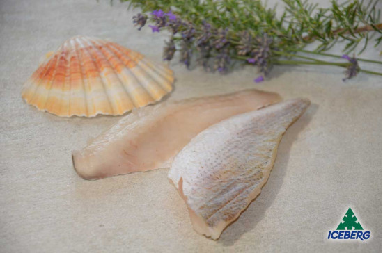 FILETTO OMBRINA ATLANTICA 60/80 1X6KG CG