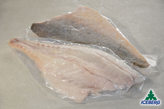 FILETTO OMBRINA OCEANICA 400/700 1X10KG CG