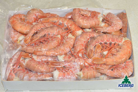 CODE GAMBERO ARGENTINA SC 1 B.CARD.6X2KG CG