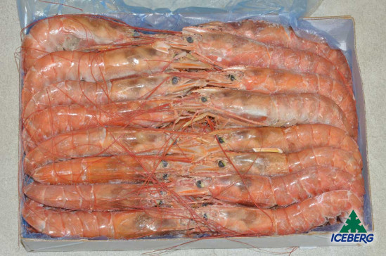 GAMBERI ARGENTINA 10/20 B. BRICEL 2X2KG +CG