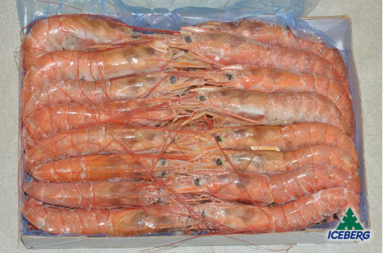 GAMBERI ARGENTINA 10/20 B. BRICEL 2X2KG +CG
