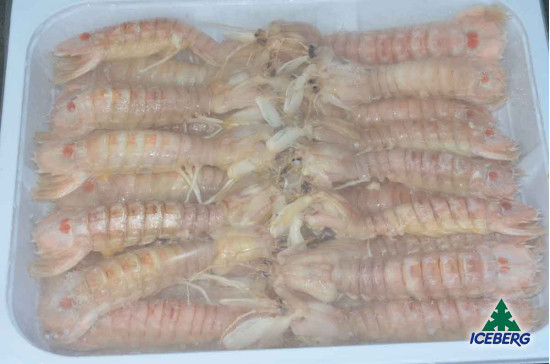 CANOCCHIE NOSTRANE PRECOTTE M 5X850GR SG