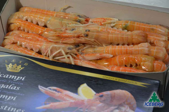 SCAMPI DANIMARCA LAESO 21/30 6X800GR CG