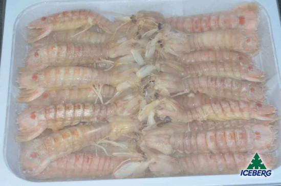 CANOCCHIE NOSTRANE PRECOTTE M 5X850GR SG
