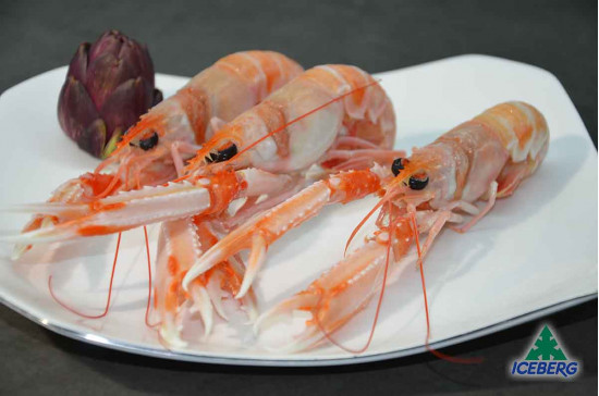 SCAMPI IRLANDA 11/15 PORCUP. P.N.  1X3KG  +CG