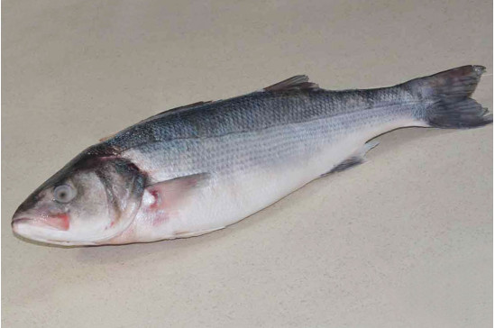 BRANZINO INTERO 2000/3000 1X2PZ CG