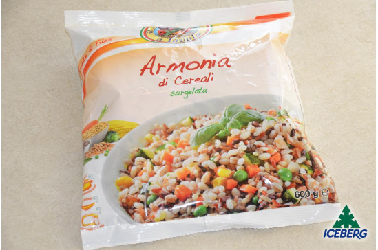 ARMONIA DI CEREALI GIAS 10X600GRSG