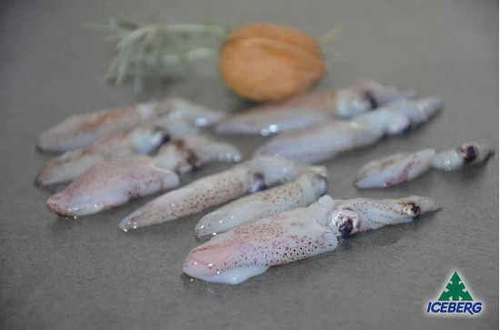 CALAMARO DEL PACIF.3/6 S/PENNA IQF 6X800GR CG