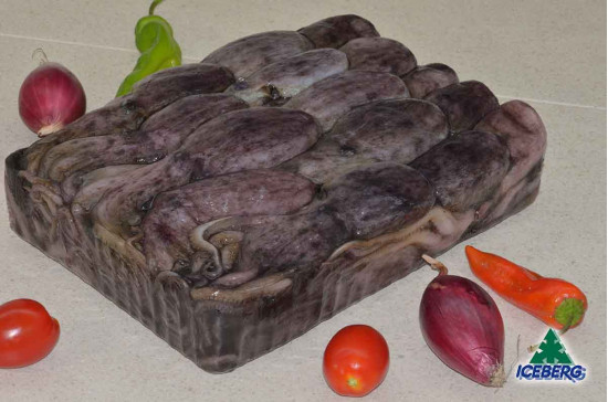 MOSCARDINO TUNISIA M               6X3KG   CG