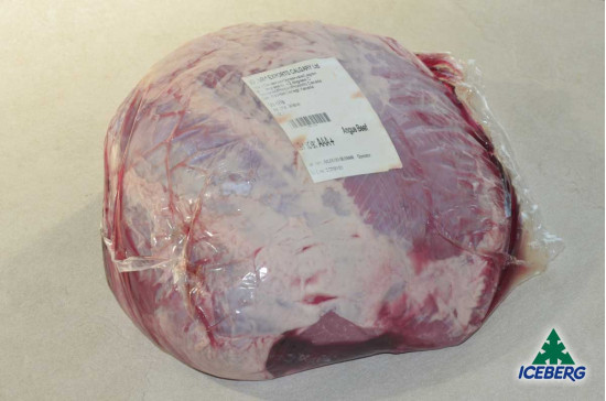 FESA BOVINO CANADA S/V ANGUS 1X1PZ +FR