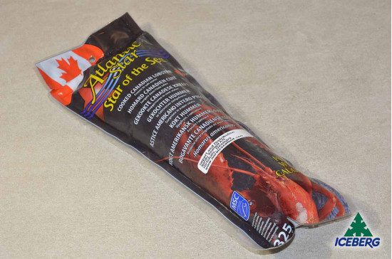 ASTICE AMERIC.PREC. TUBO X325      1X10PZ  CG